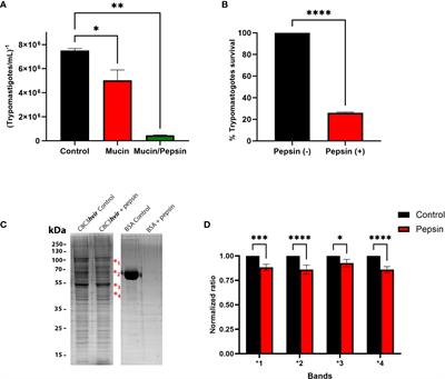 Oral infectivity through carnivorism in murine model of Trypanosoma cruzi infection
